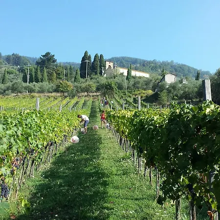Fattoria Gambaro Di Petrognano